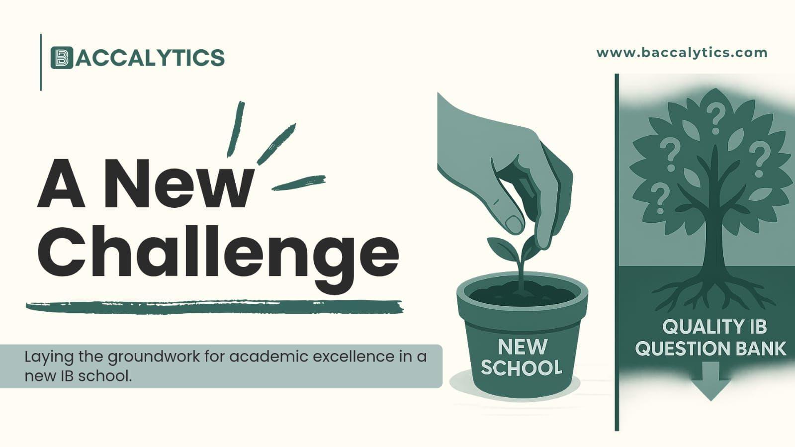 Laying the groundwork for academic excellence in a new IB school.